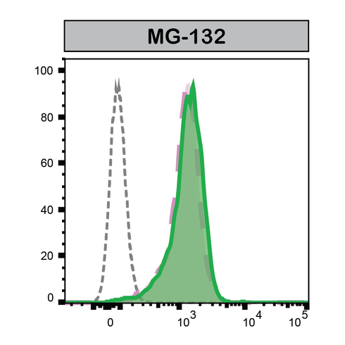 FC Image