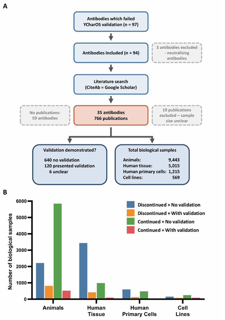 Flowchart showing downstream impact of failed antibodies on biological sample waste